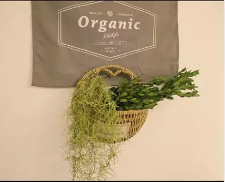 你的家配電箱，所以裝修很漂亮！